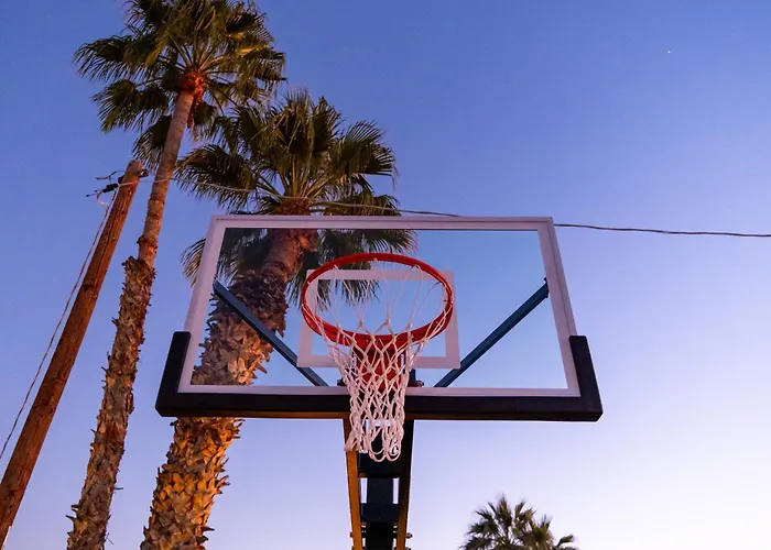 Multimillionresort Oasis Pickleballvolleyballcourtbocce Ball Courtgolf
